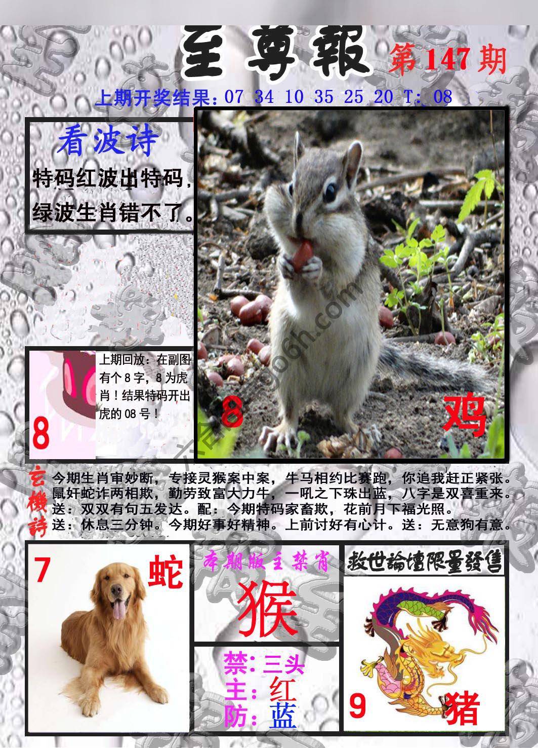 至尊报