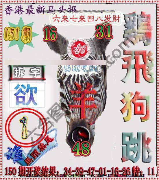 香港马头报