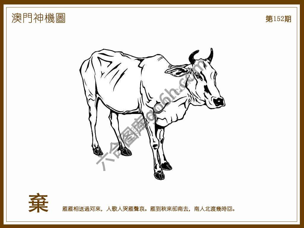 澳门神机图