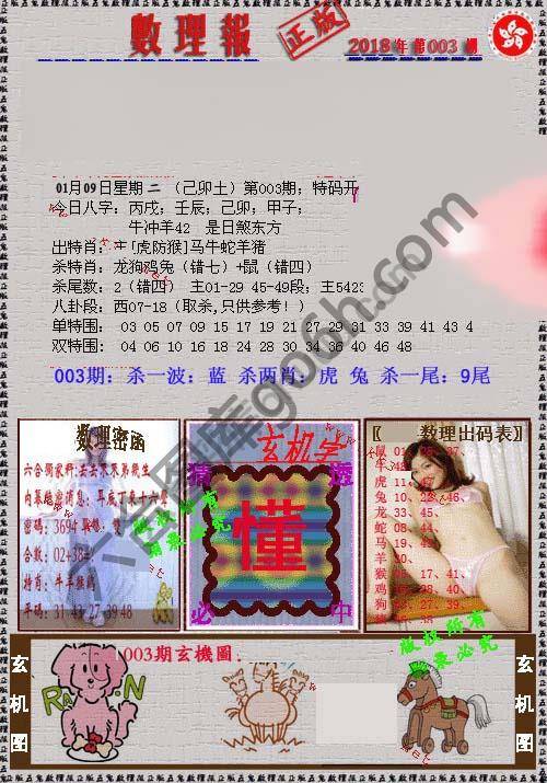 数理报