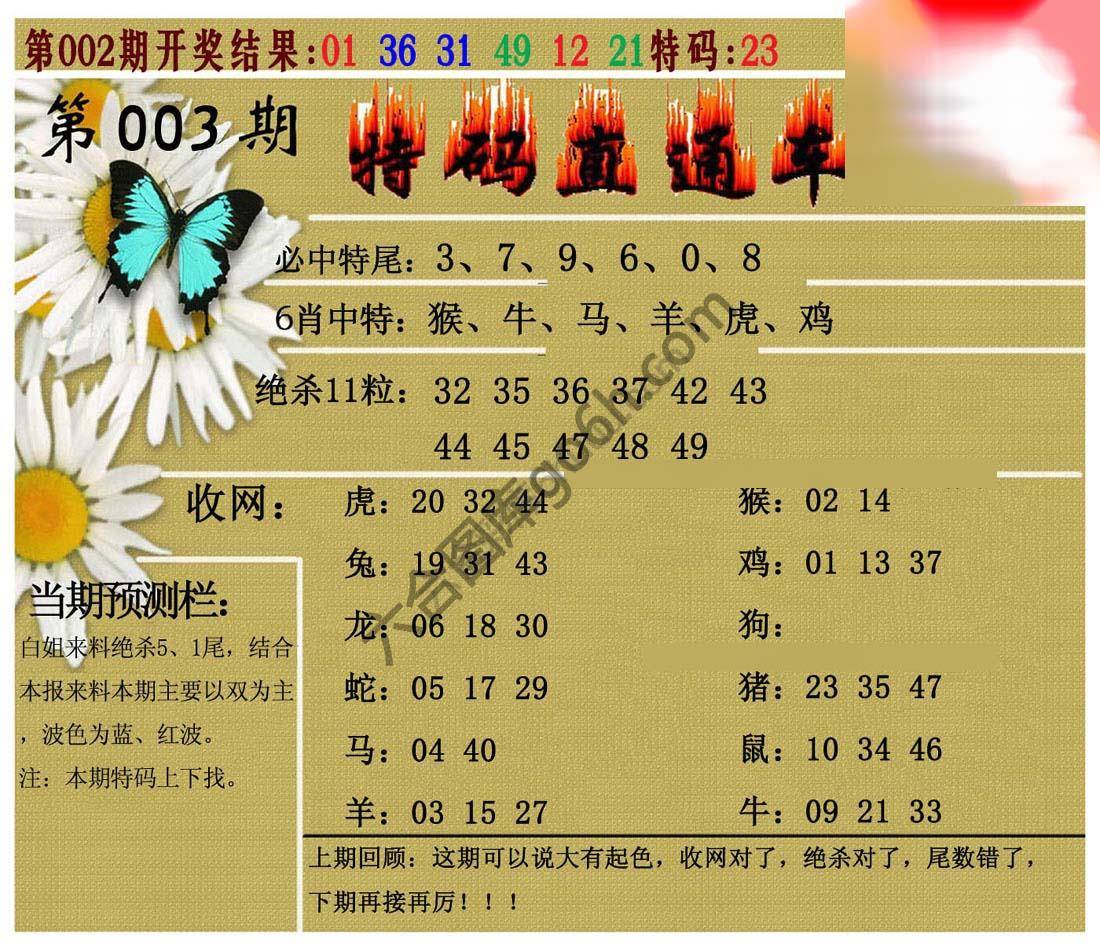 特码直通车