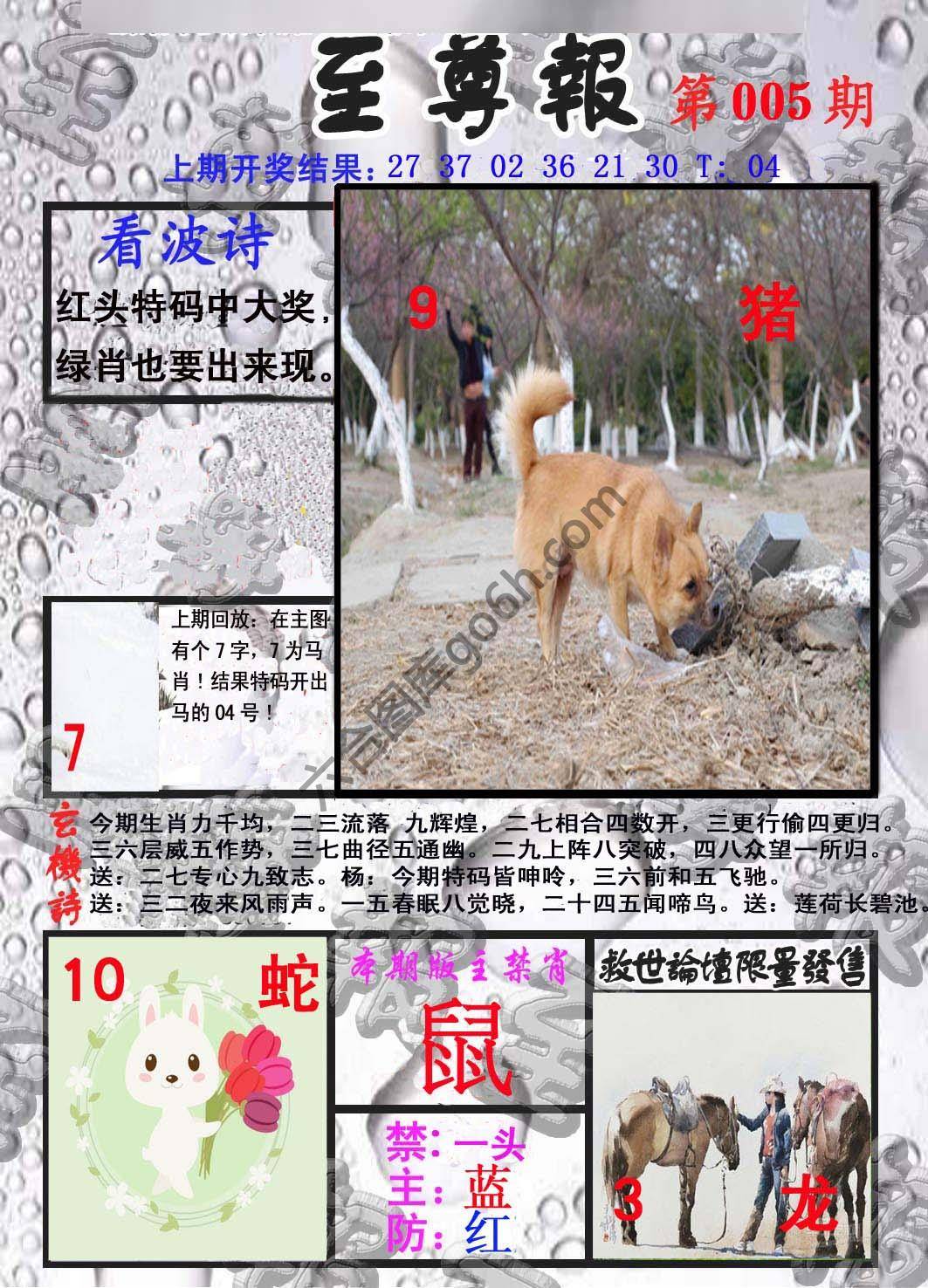 至尊报