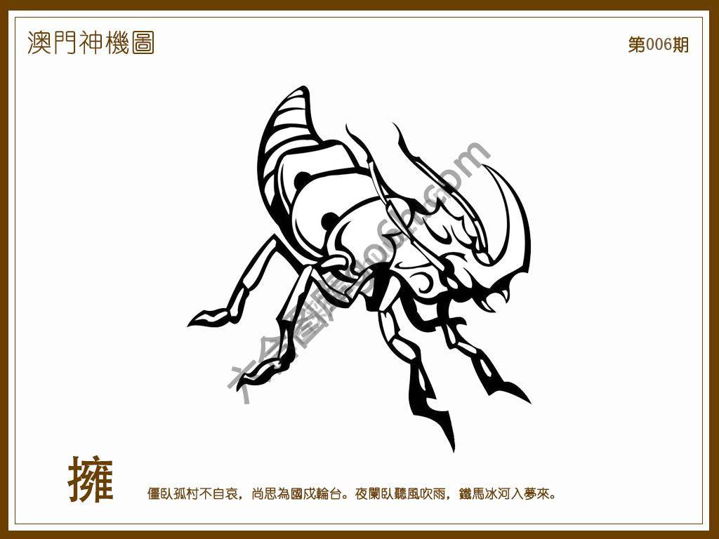 澳门神机图