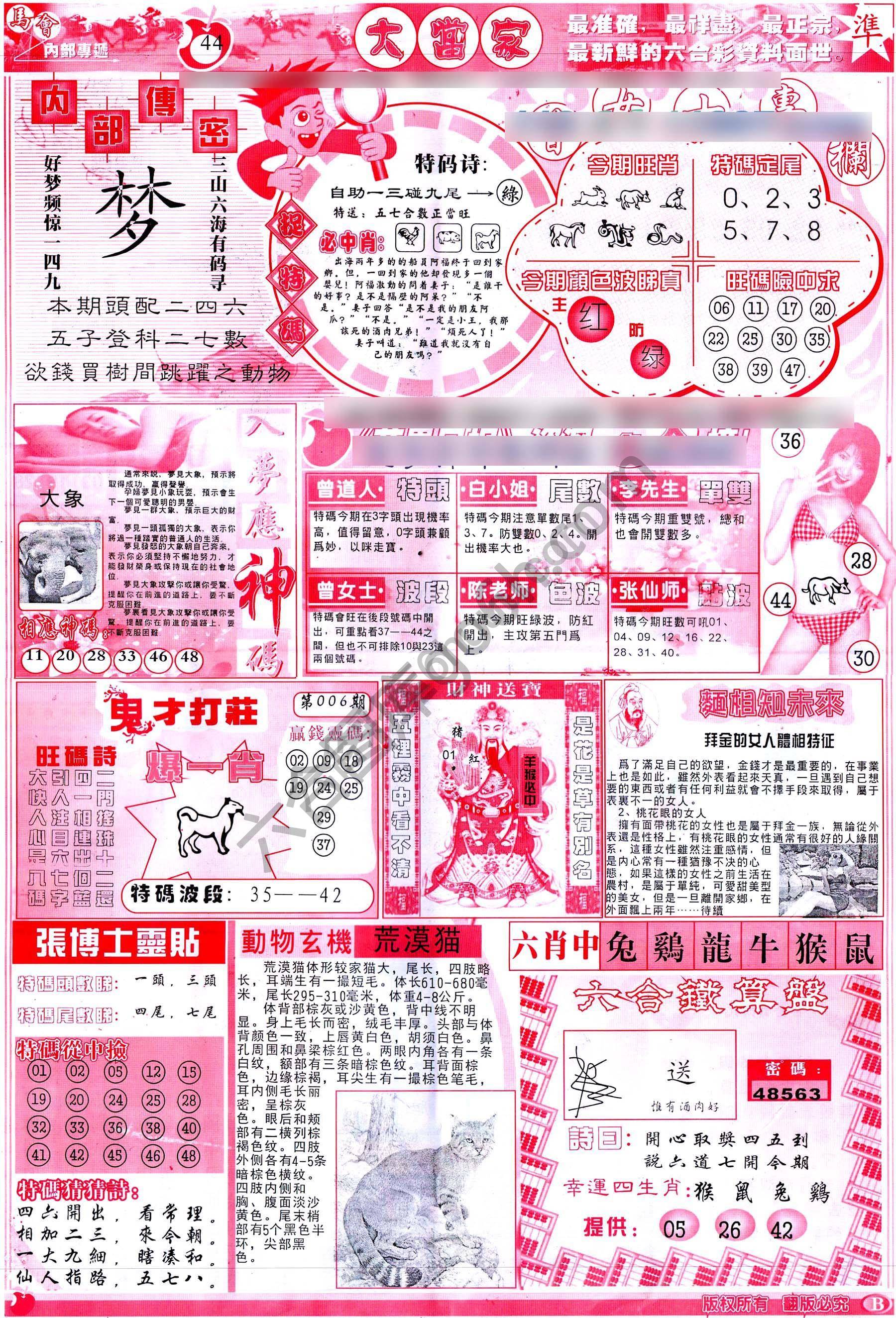 大当家