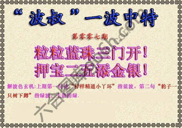 波叔一波中特