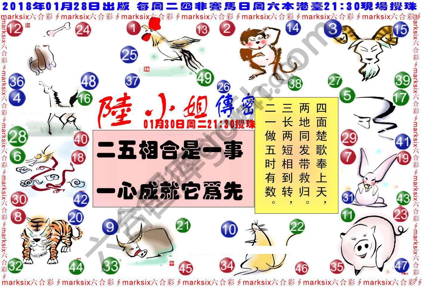 陆小姐传密