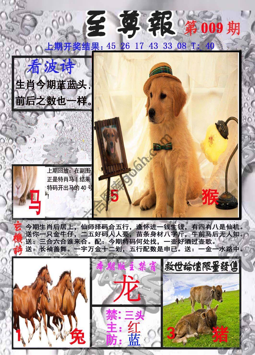 至尊报