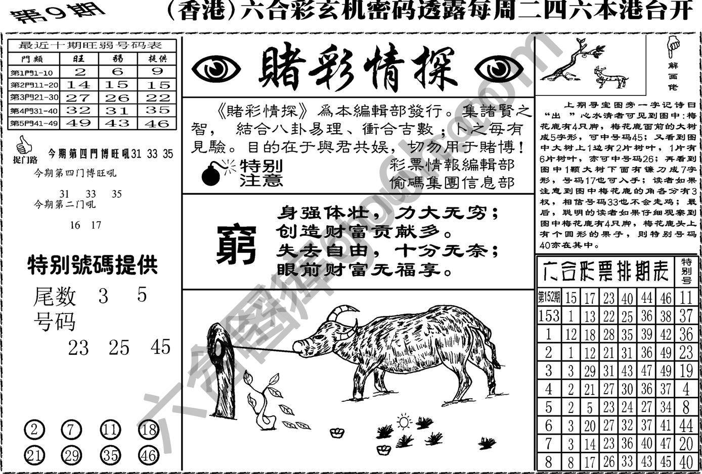 赌彩情探