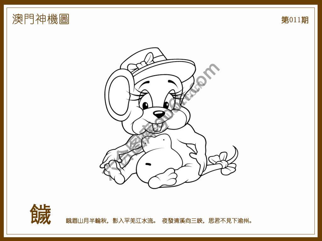 澳门神机图