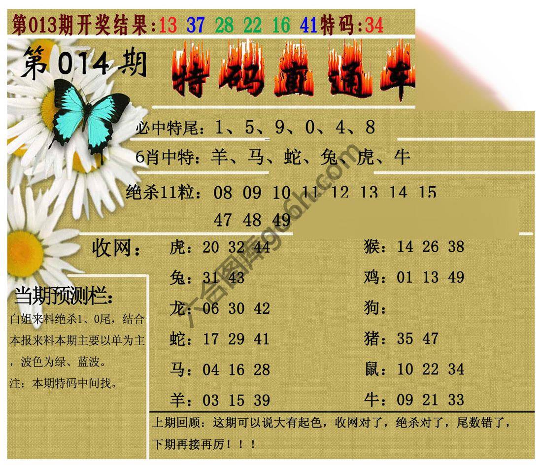 特码直通车