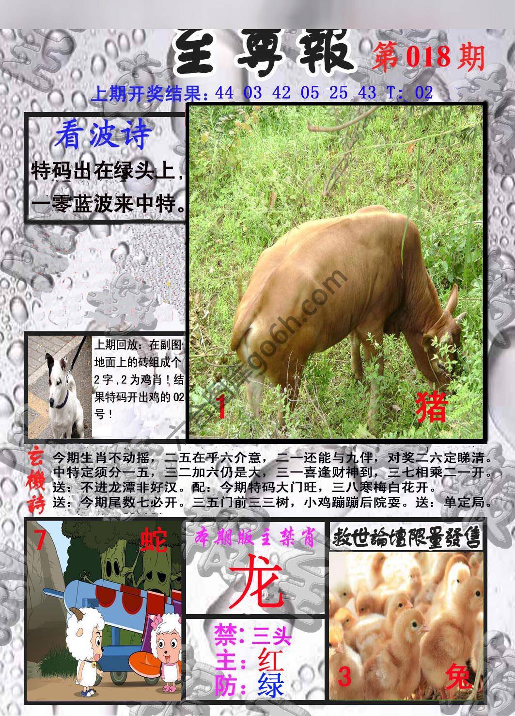 至尊报