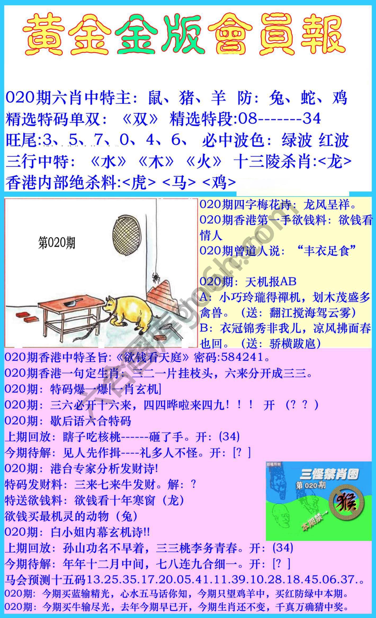 黄金金版会员报