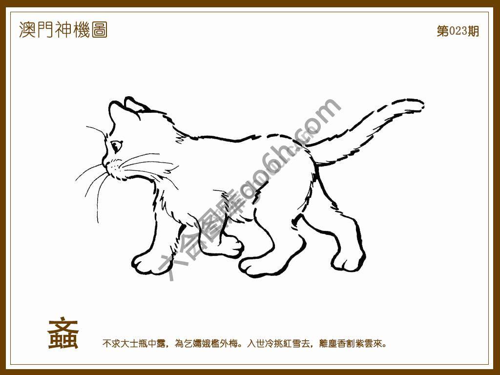 澳门神机图