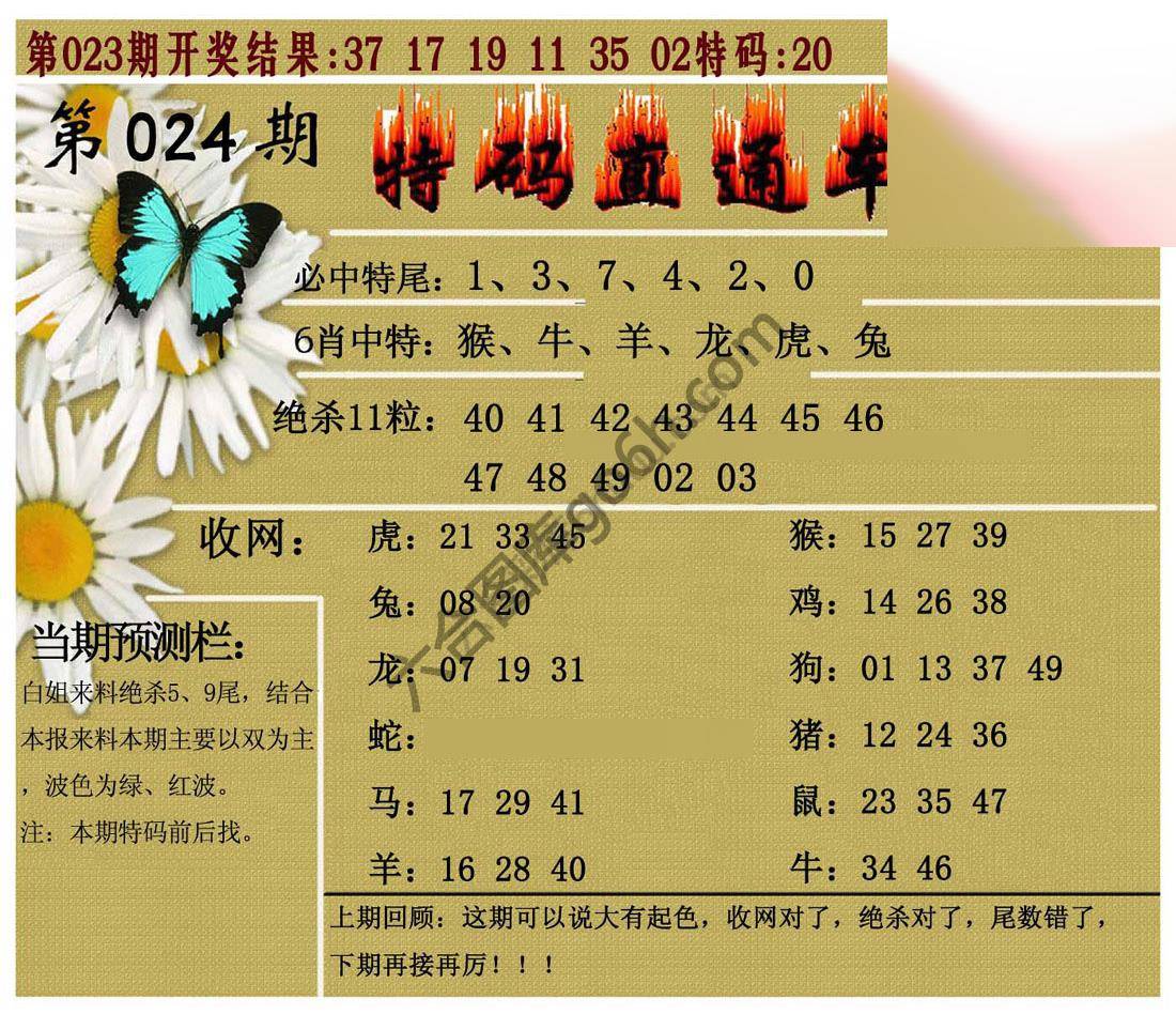 特码直通车