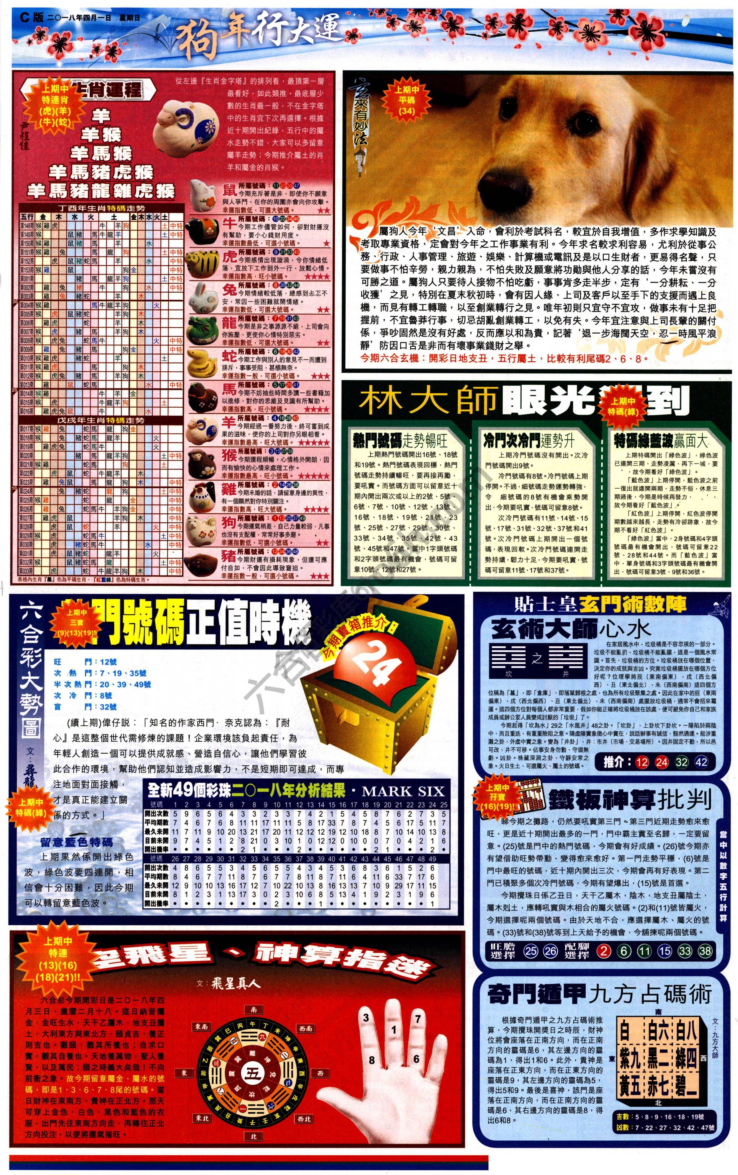 大版贴士皇