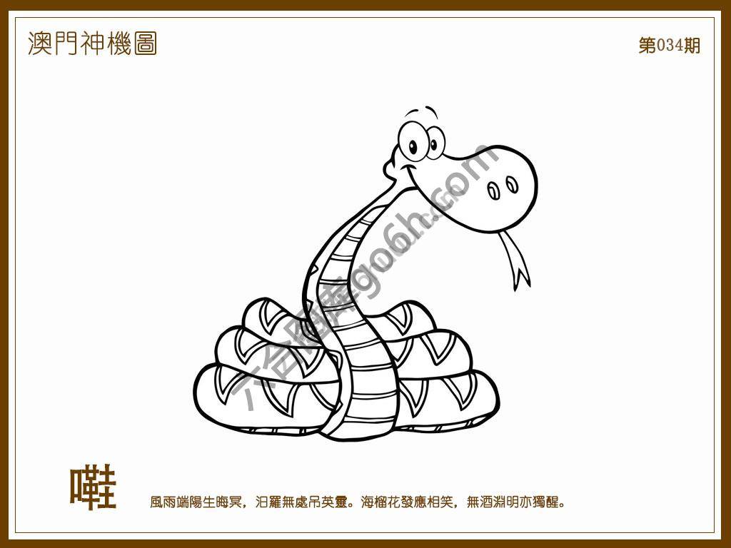 澳门神机图