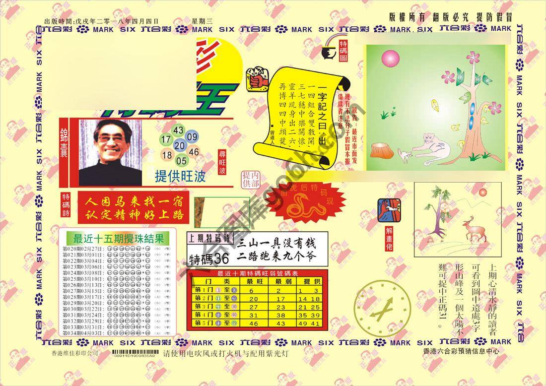 特码王