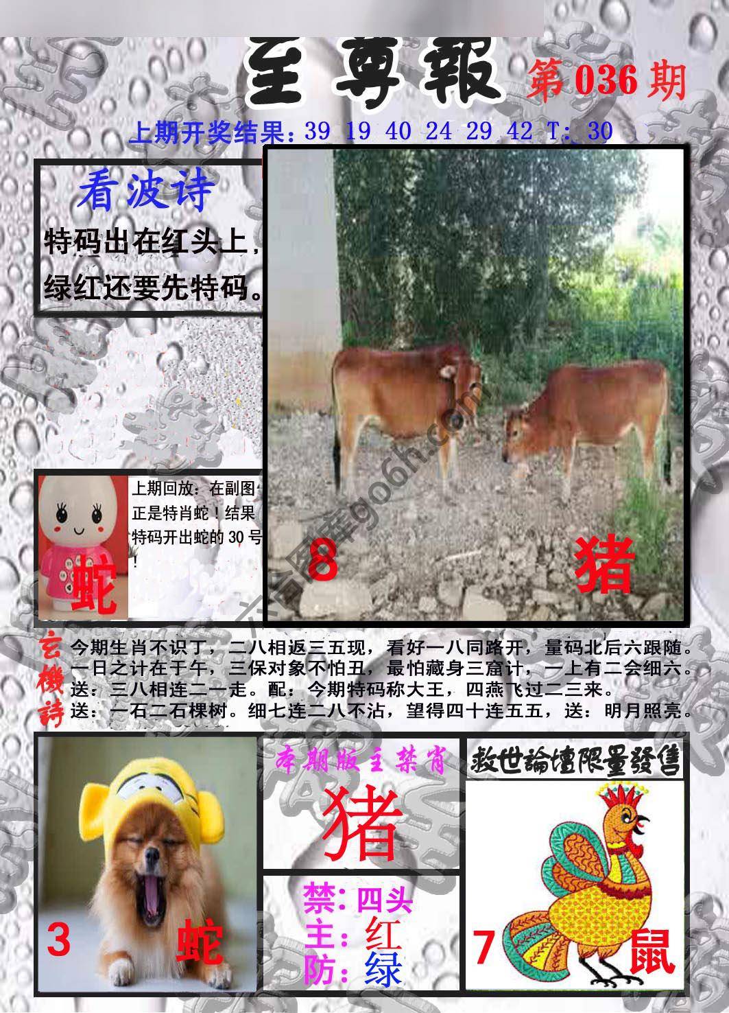 至尊报