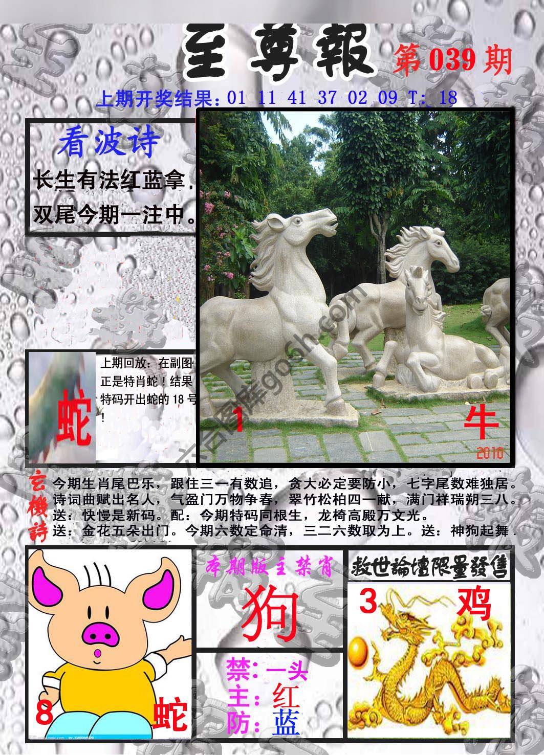 至尊报