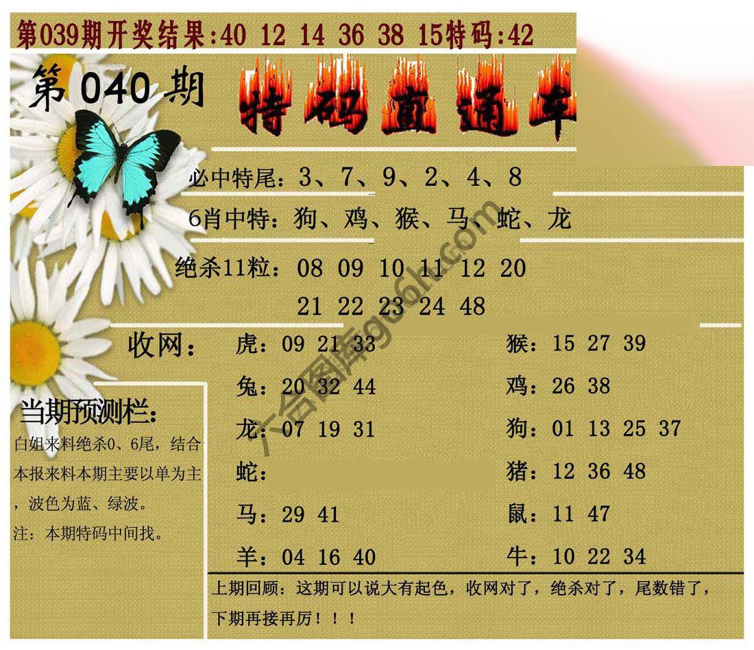 特码直通车