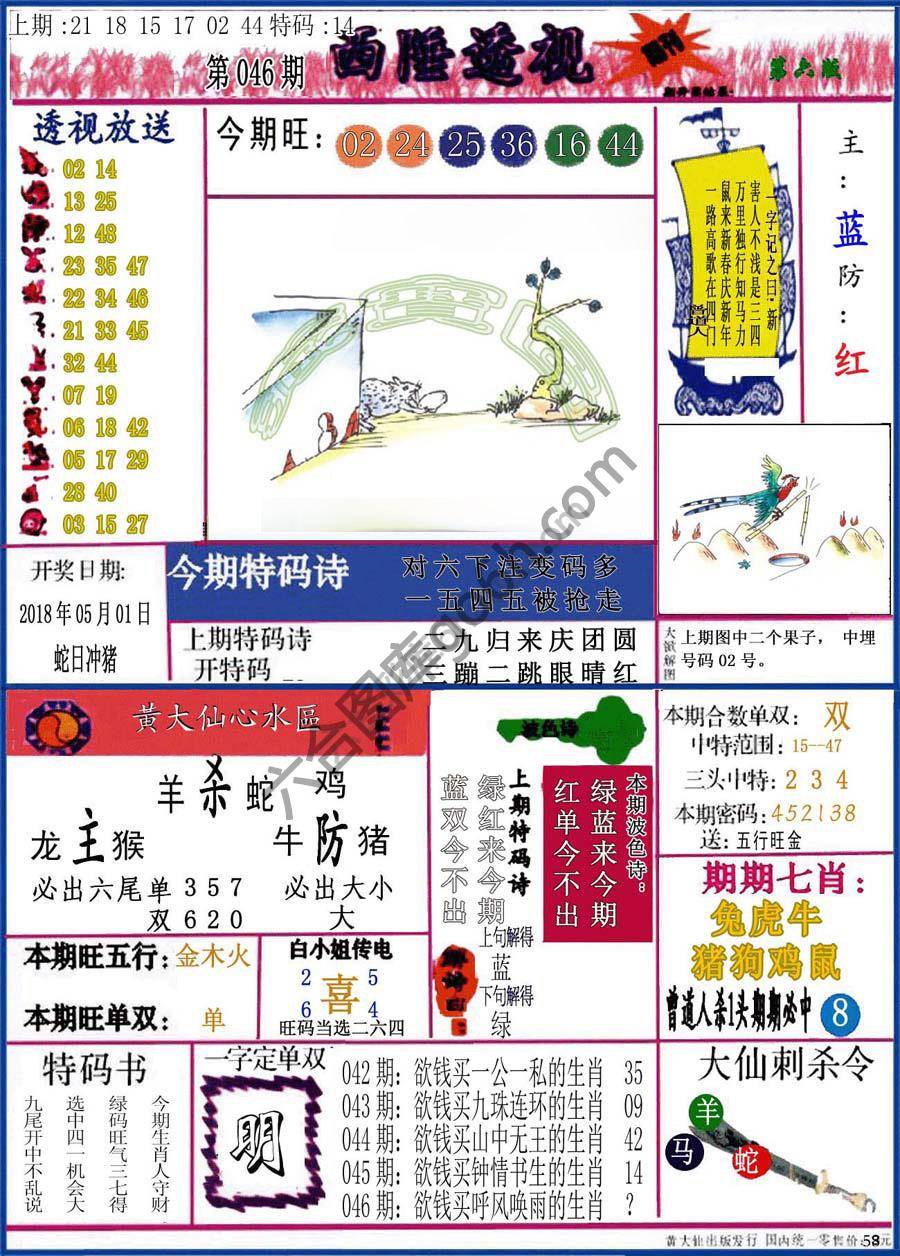西陲透视（正版）