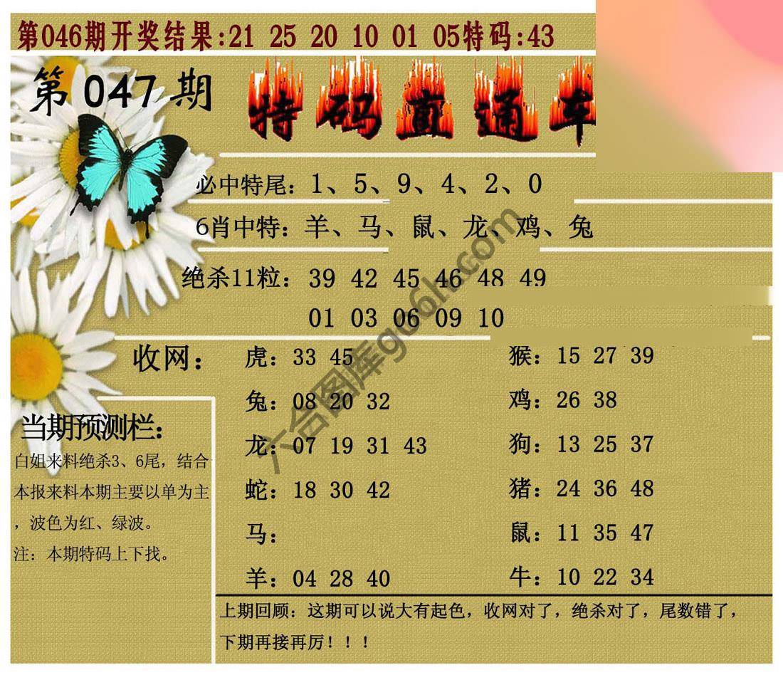 特码直通车