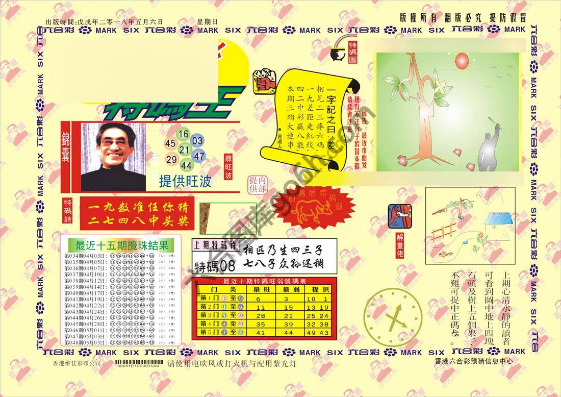 特码王