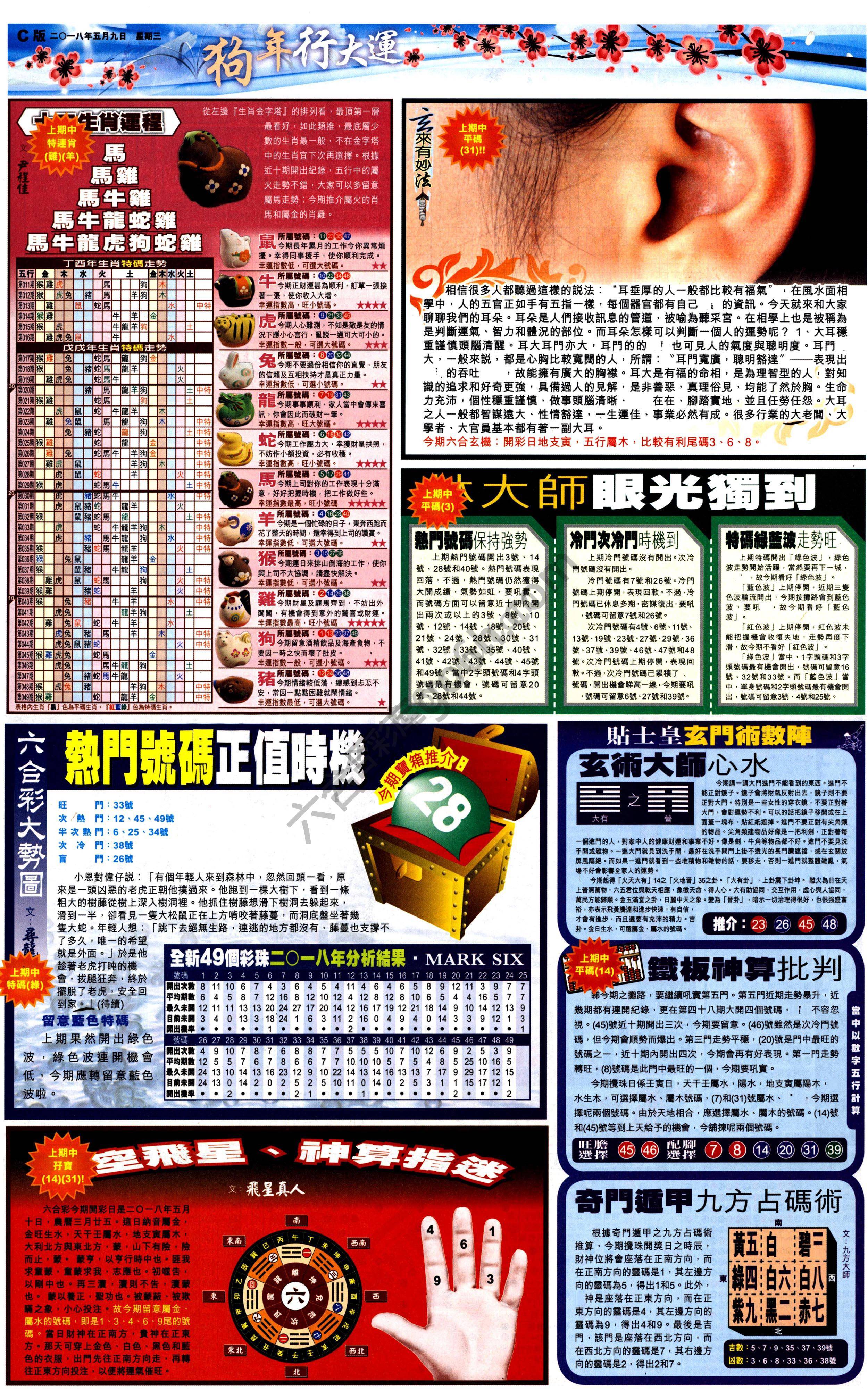 大版贴士皇