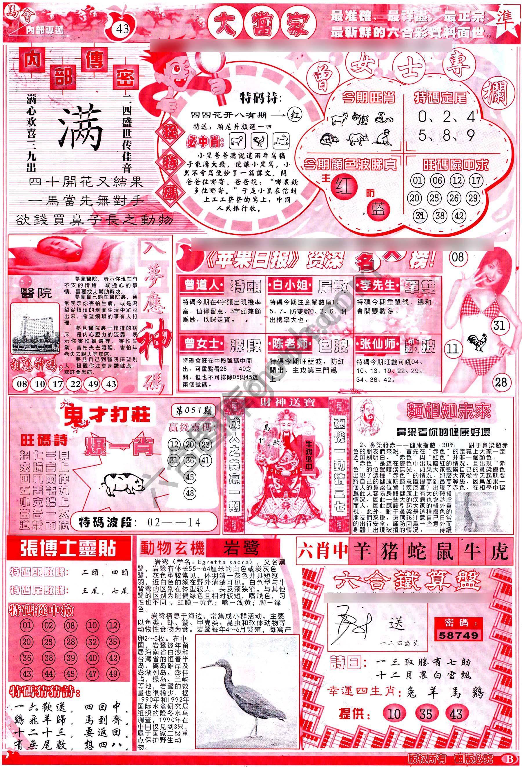 大当家