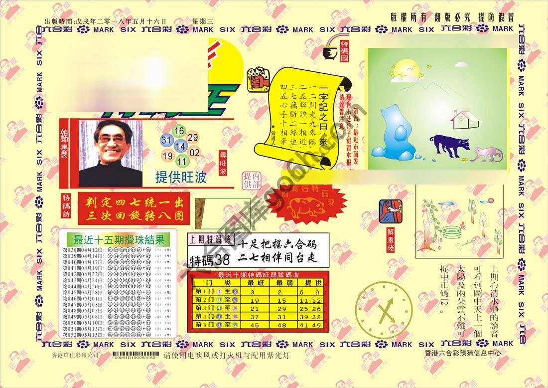 特码王