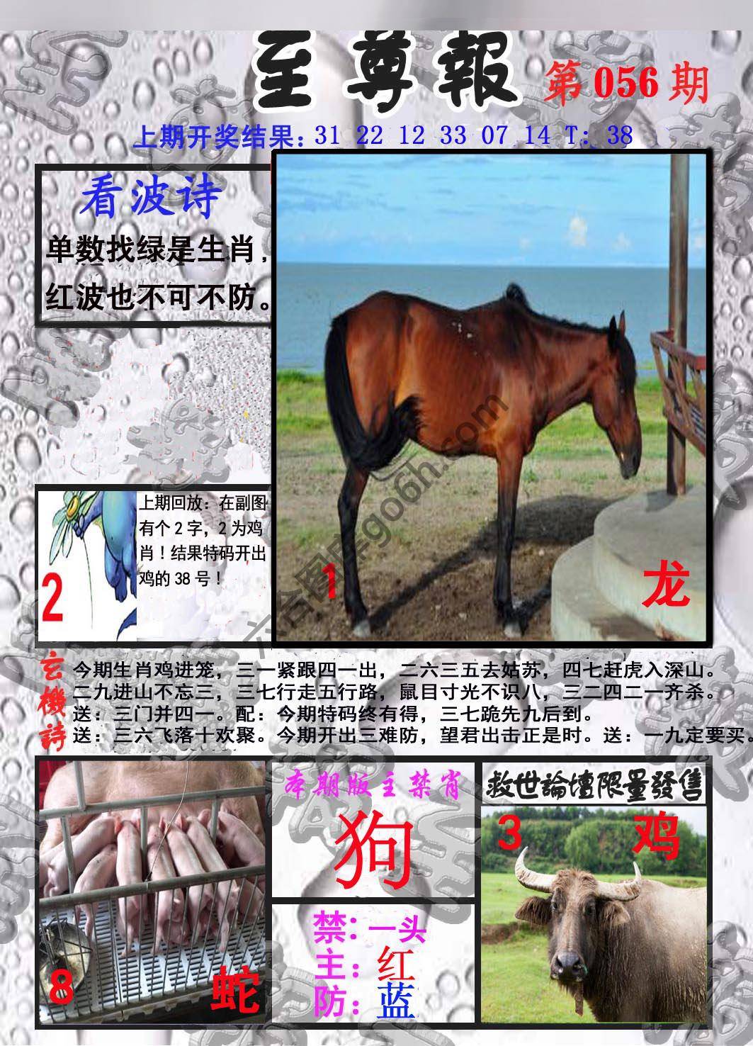 至尊报