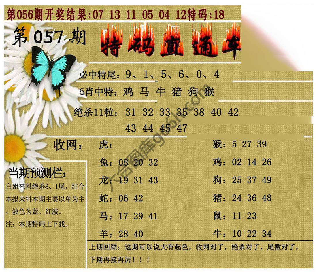 特码直通车