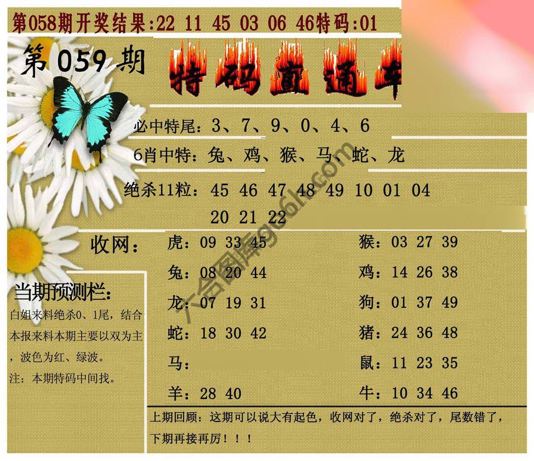 特码直通车