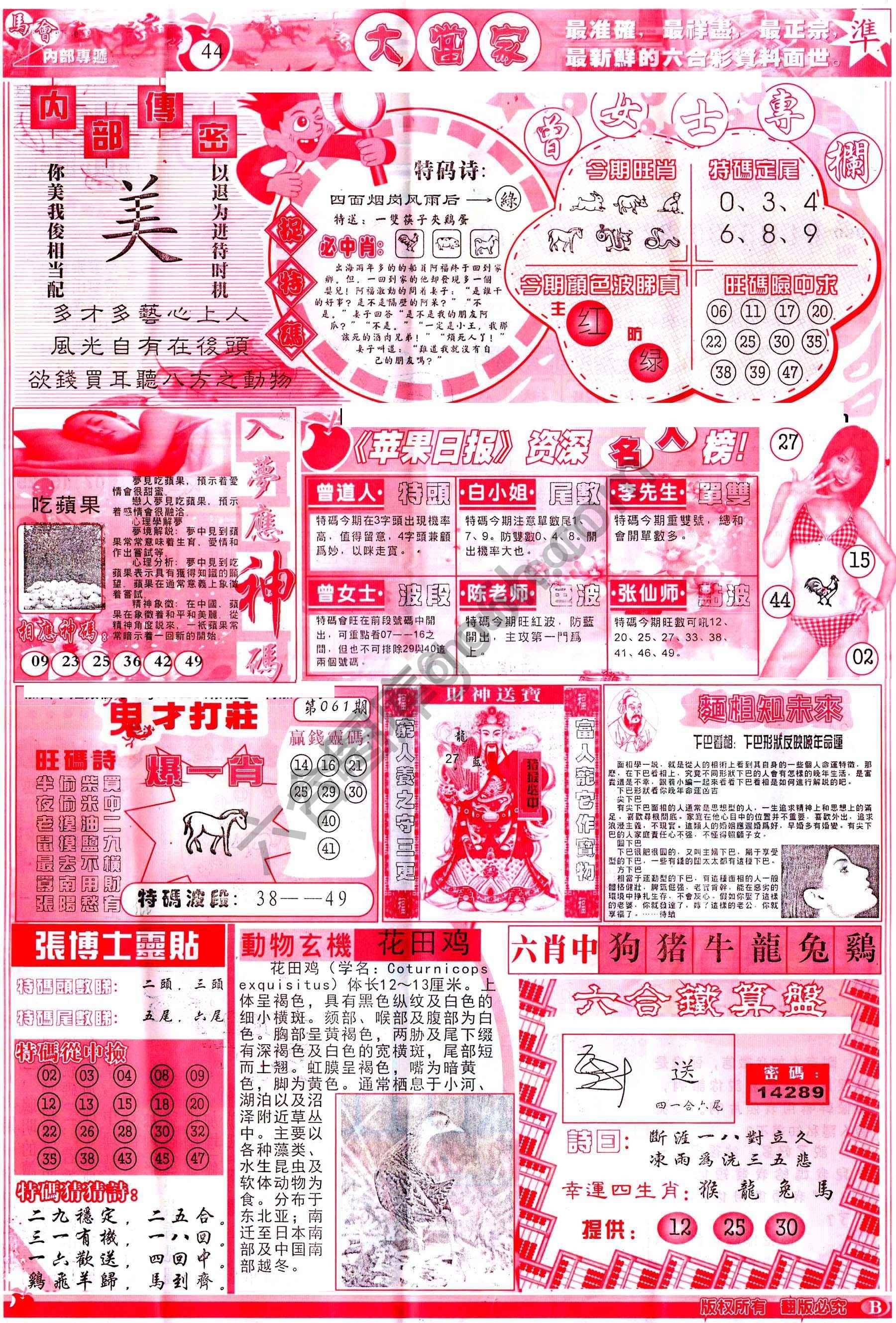大当家