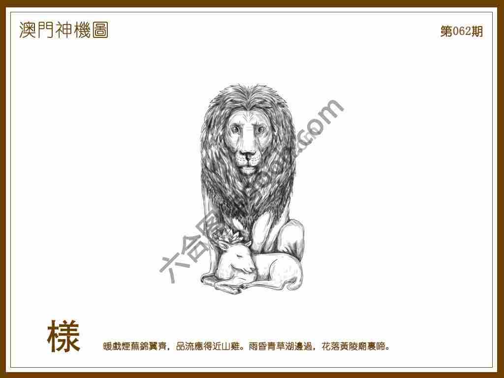 澳门神机图