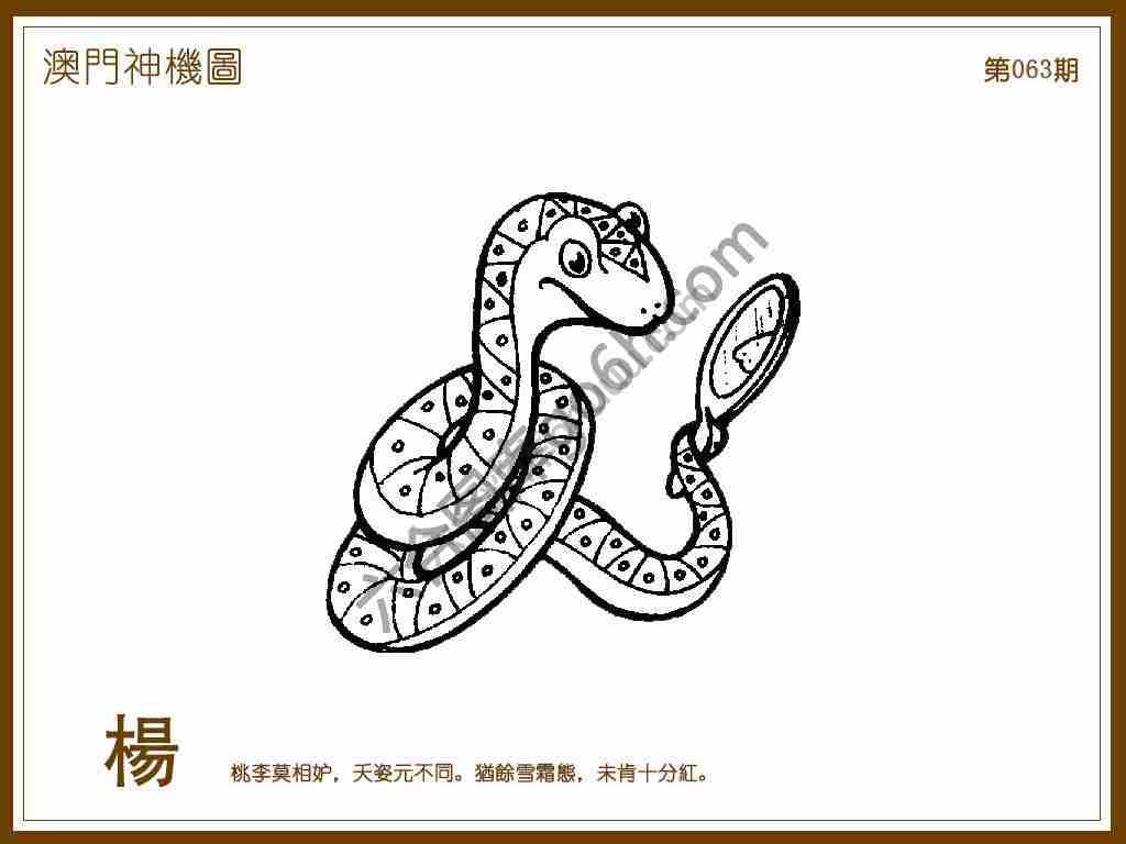 澳门神机图
