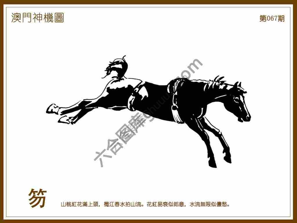 澳门神机图