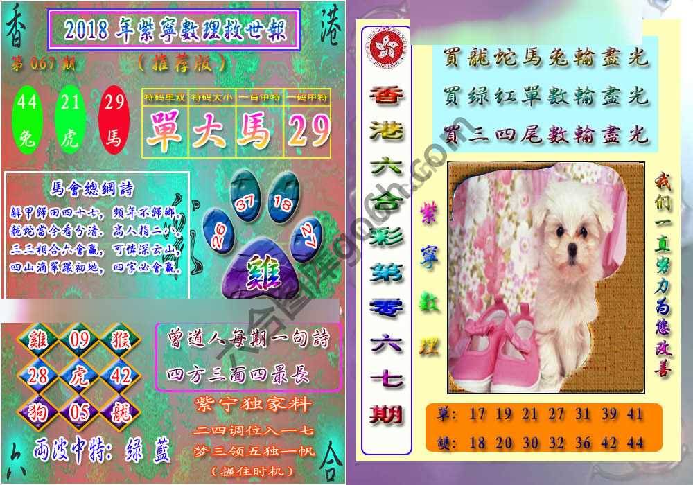 数理救世报