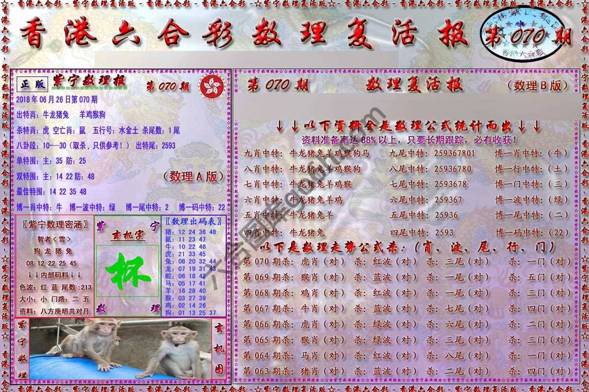数理复活报