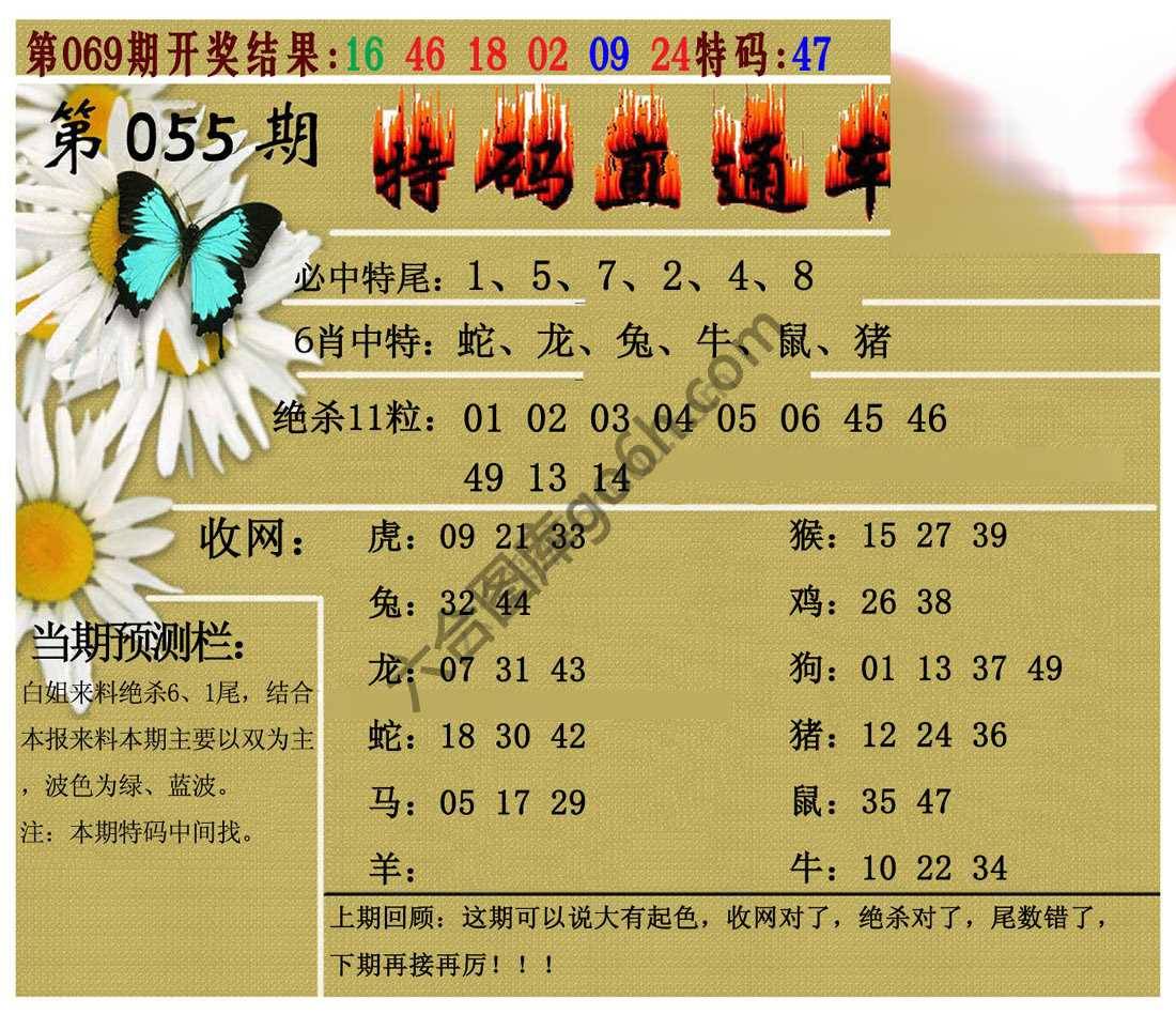 特码直通车