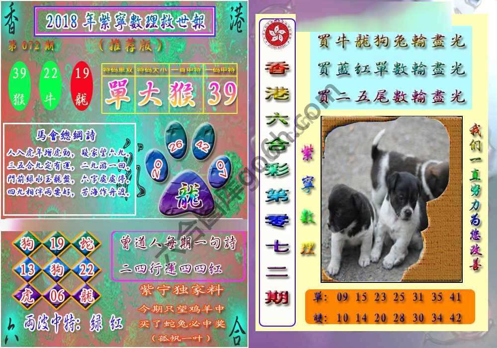 数理救世报