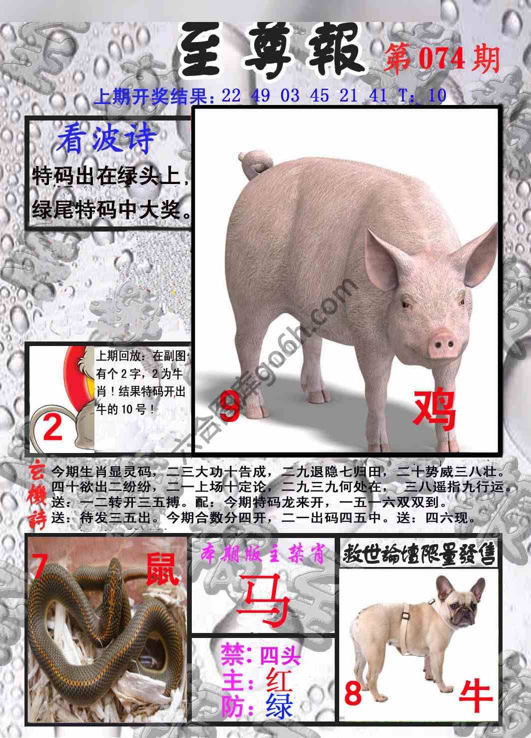 至尊报