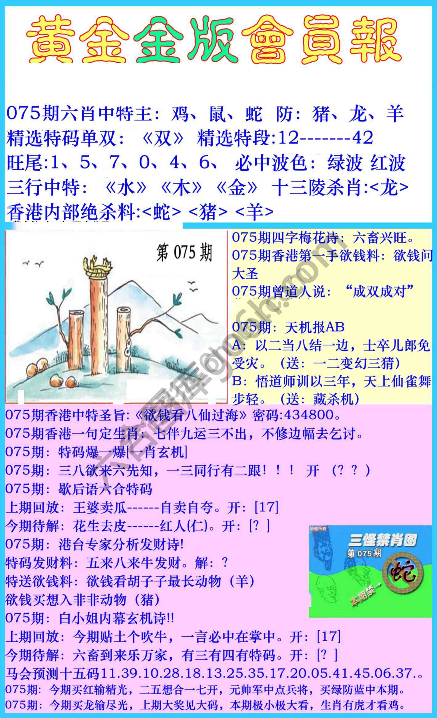 黄金金版会员报