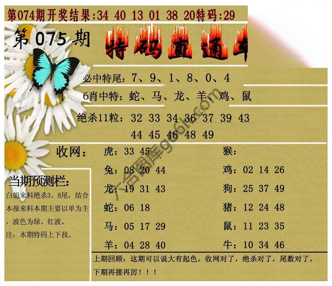 特码直通车