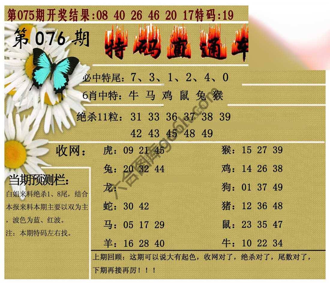 特码直通车