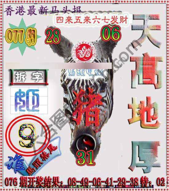 香港马头报
