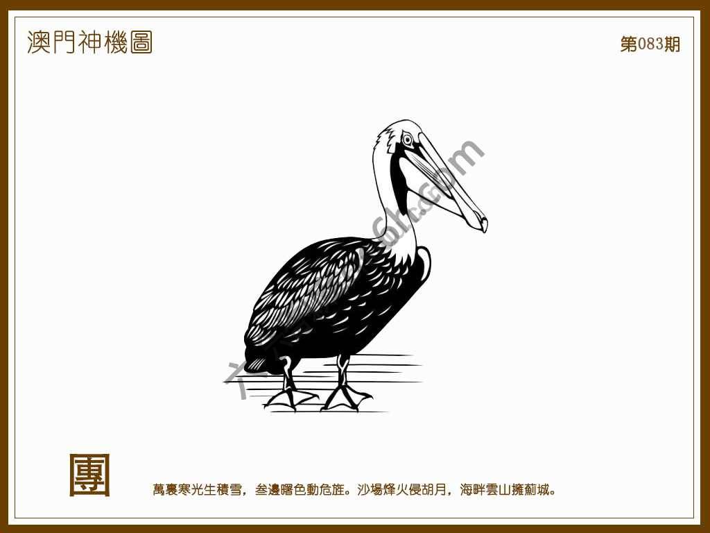澳门神机图
