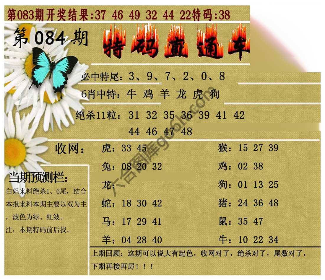 特码直通车