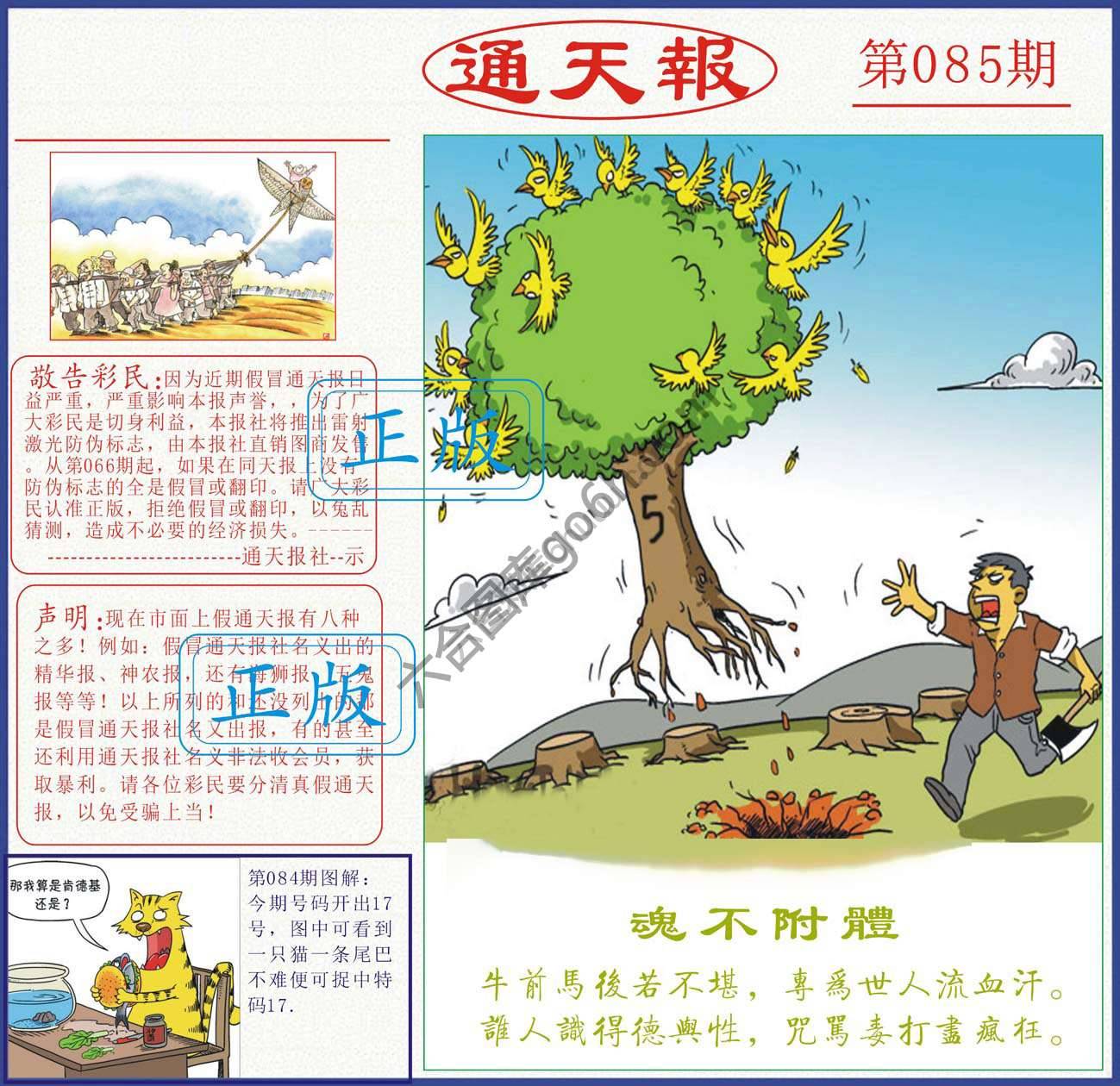 正版通天报