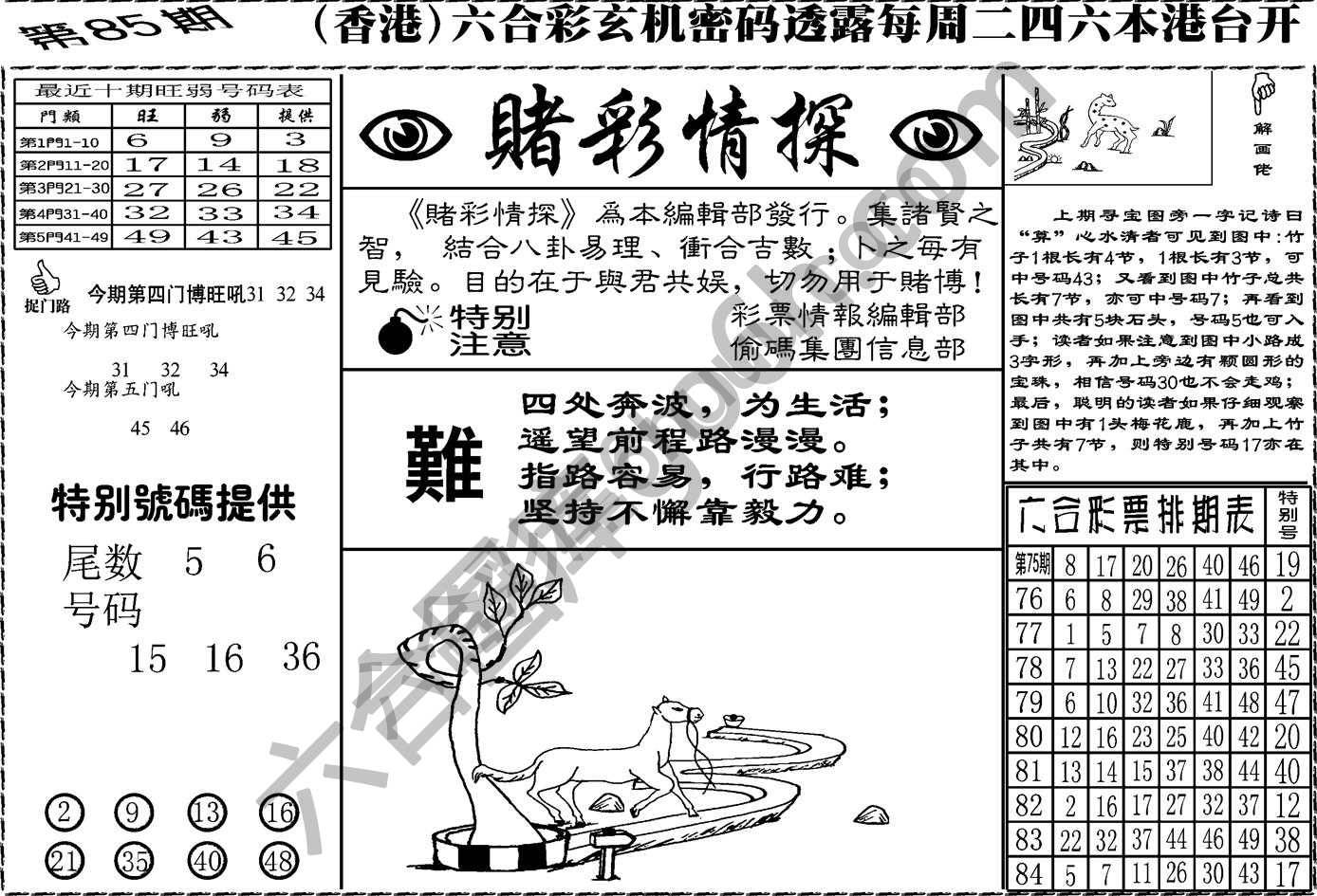 赌彩情探